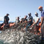 Problemáticas actuales del sector pesquero artesanal marítimo de la República Argentina
