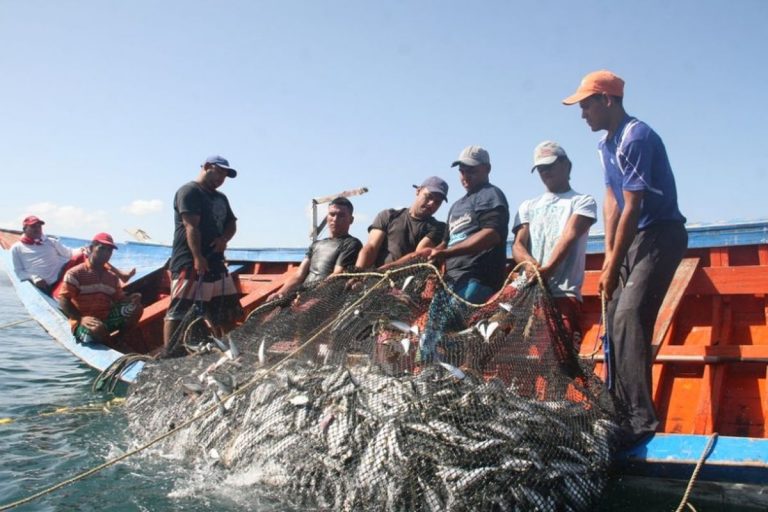 Problemáticas actuales del sector pesquero artesanal marítimo de la República Argentina