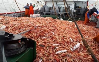 Características estructurales de la economía pesquera argentina