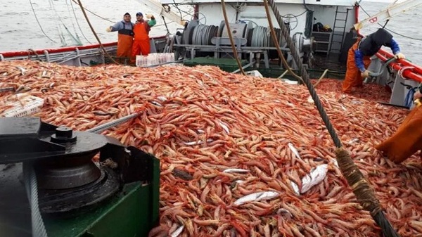 Características estructurales de la economía pesquera argentina