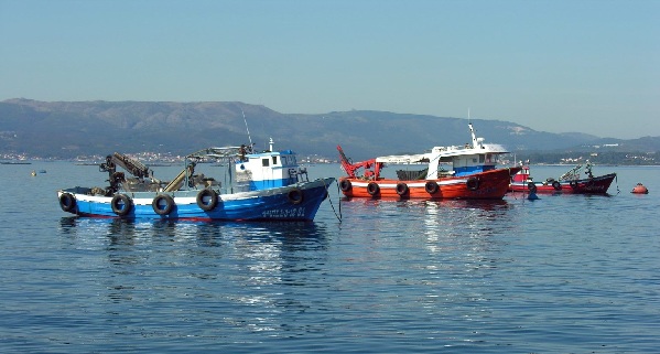 Pesca artesanal en el mar argentino | Un contrapeso al extractivismo exportador